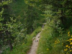 2013-07-20_Regina-F-Rau_Kochel-Rabenkopf (492).JPG